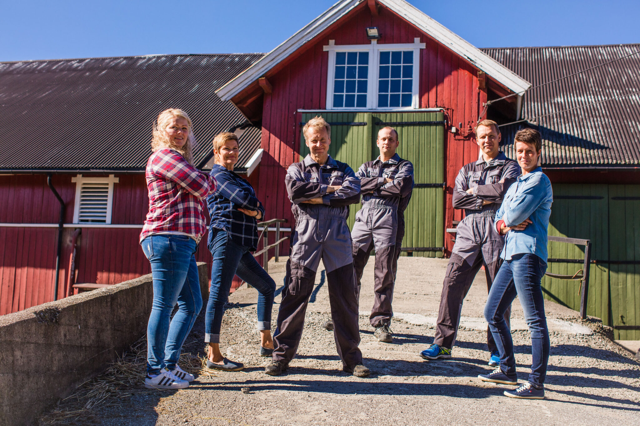 Nortura Harland kylling no018024 Foto Øivind Haug