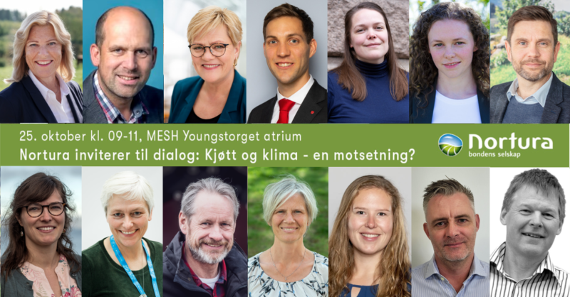Oplandske Bioenergi Foto Øivind Haug