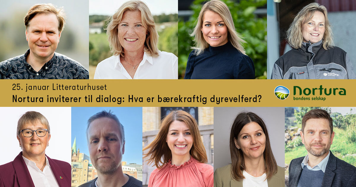 Slaktelinje1