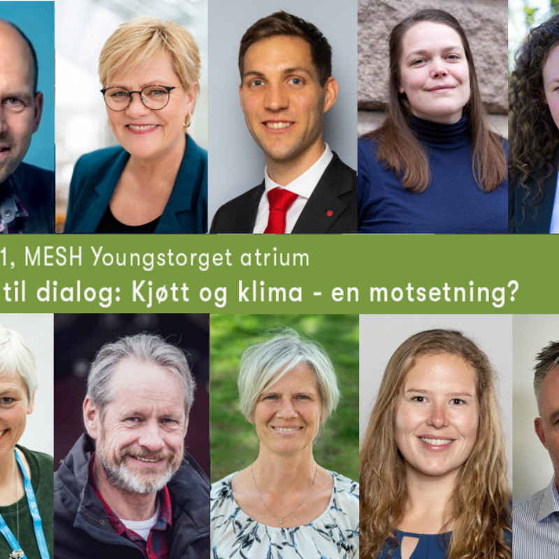 Pål Engh