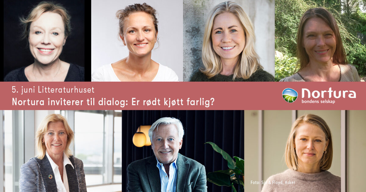 Animalia kyllingprosjekt