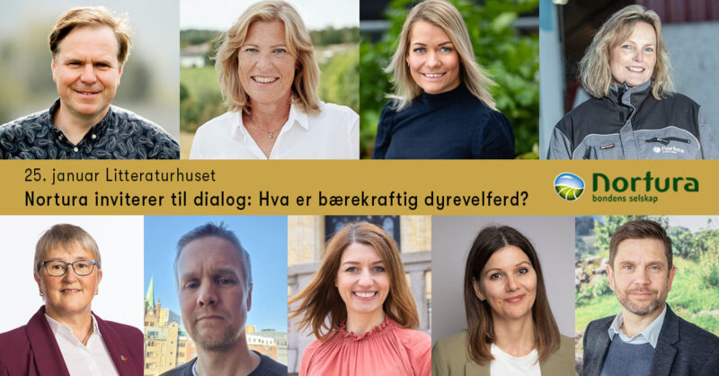 Nøkkelhull2022