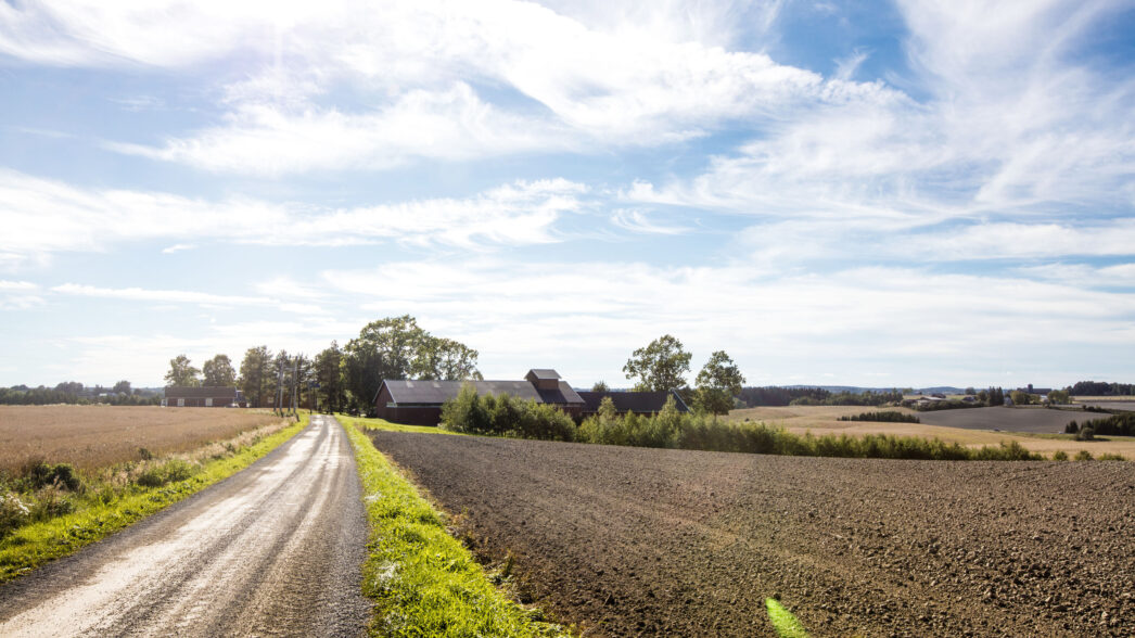 Trine Hasvang Vaag 14 5001550
