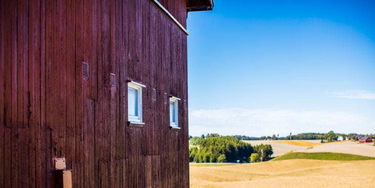 Kyllinger hos Aarsland kyllingprodusent no02526