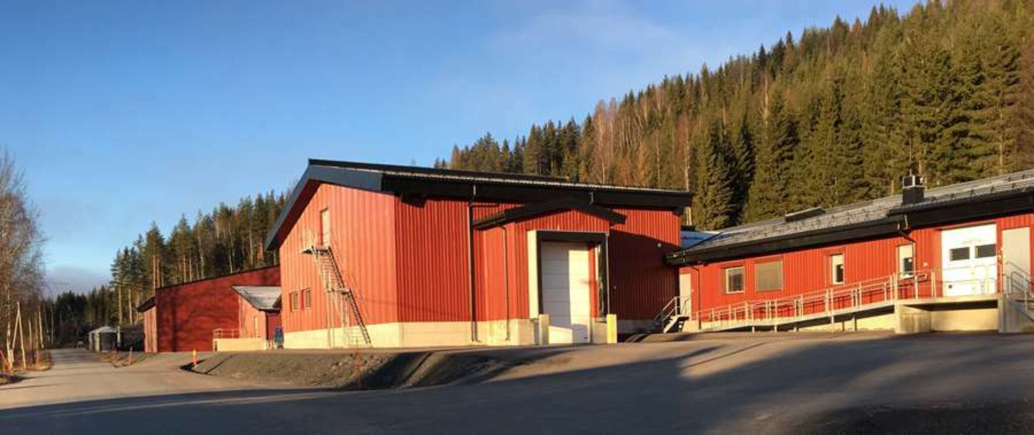 Trine Hasvang Vaag 14 5001550