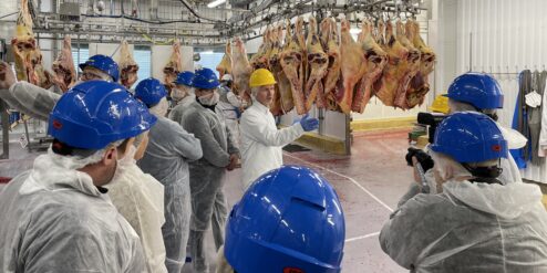 Rudshogda jan23 Foto Thomas Bonafede