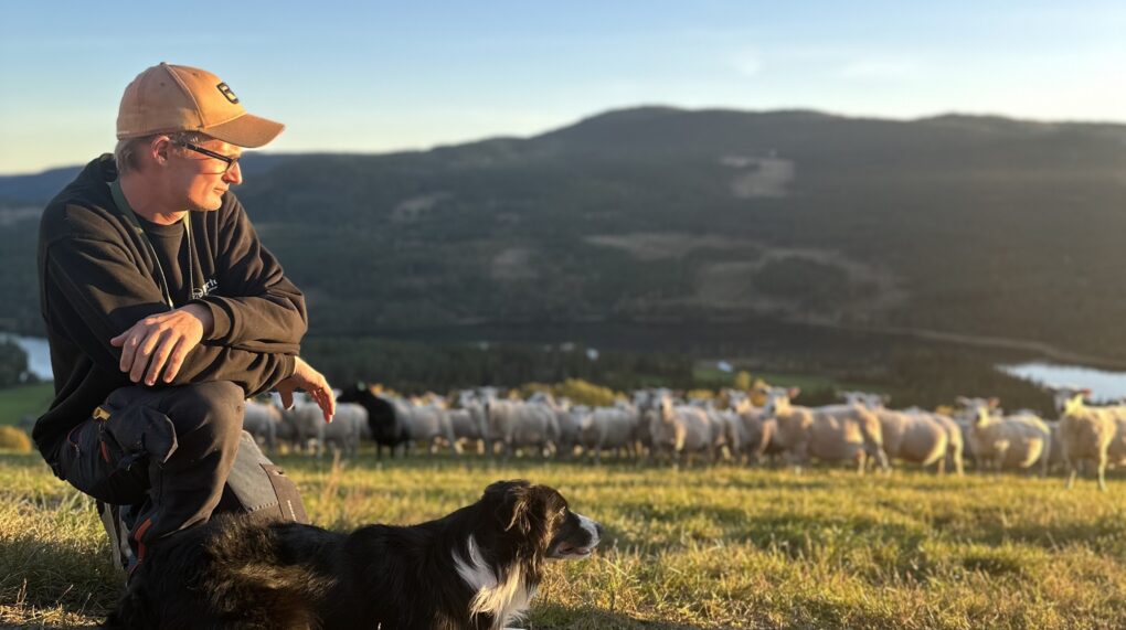 Bærekraftsrapport 2026 Jenny Aske