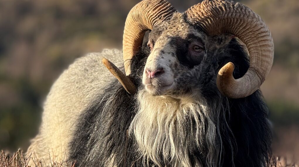 Bærekraftsrapport 2026 Ken Rune Birkeland