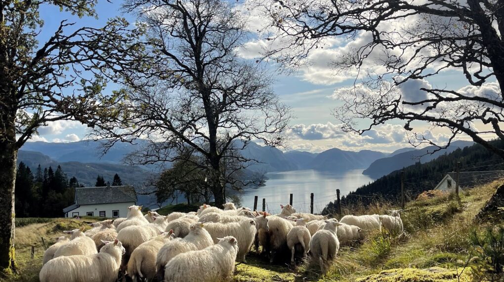 Bærekraftsrapport 2026 May Kristin Lofthus