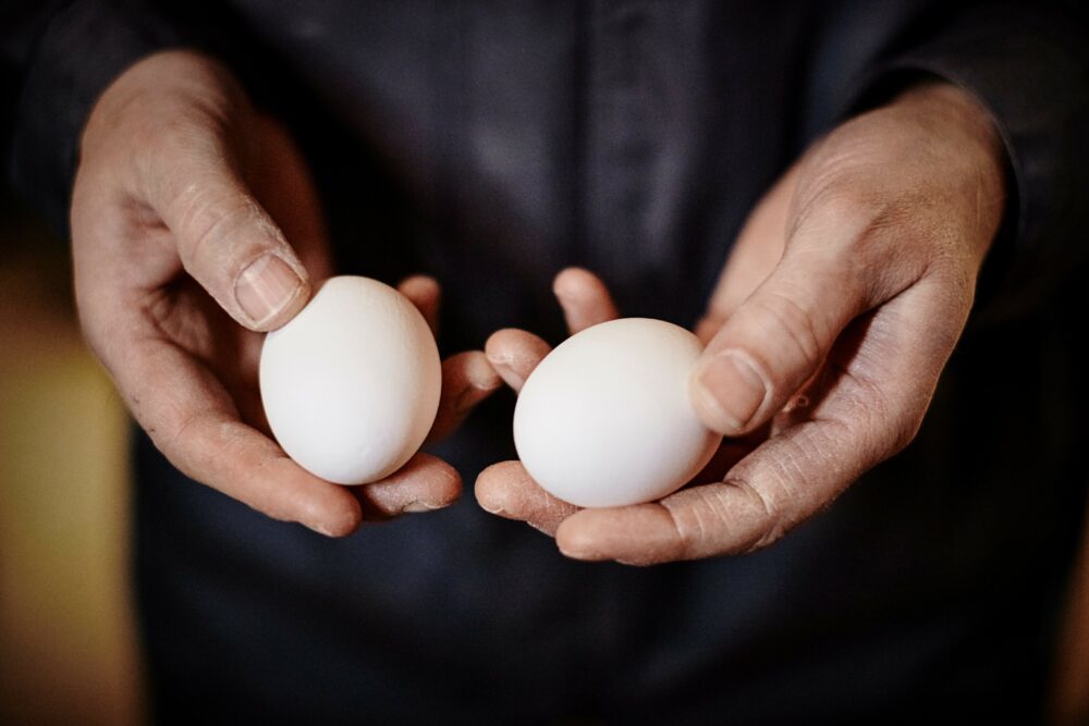 Hand egg no019106 Foto Øivind Haug