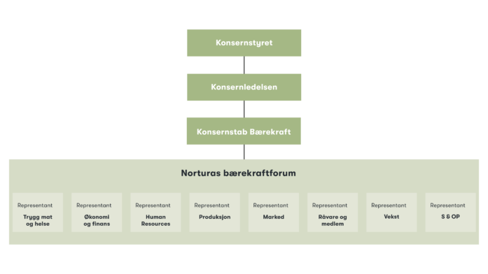 Organisering baerekraft